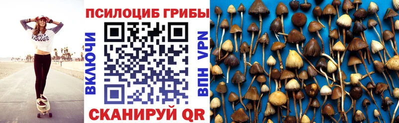 blacksprut ссылка  Таганрог  Псилоцибиновые грибы мухоморы 